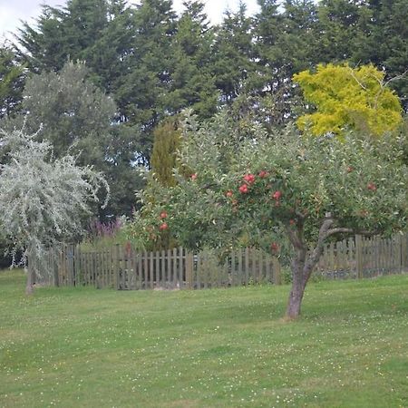 The Willow Studio - Peaceful Retreat Near Whitstable Seaside Faversham Ngoại thất bức ảnh