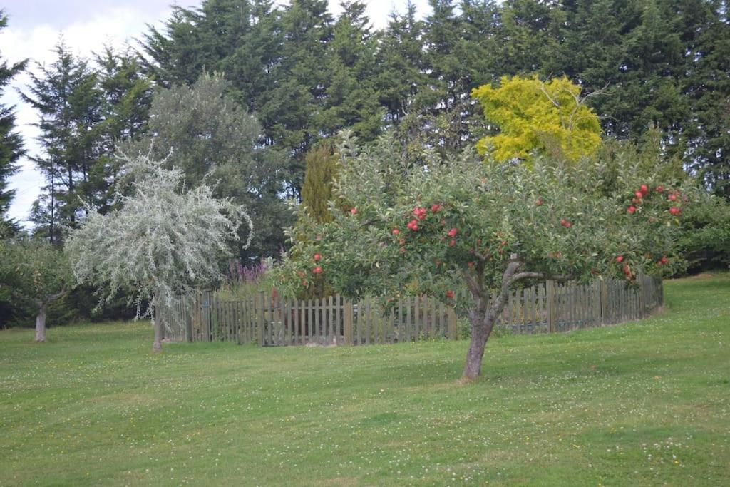 The Willow Studio - Peaceful Retreat Near Whitstable Seaside Faversham Ngoại thất bức ảnh