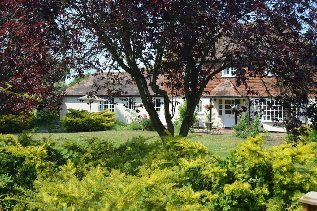 The Willow Studio - Peaceful Retreat Near Whitstable Seaside Faversham Ngoại thất bức ảnh